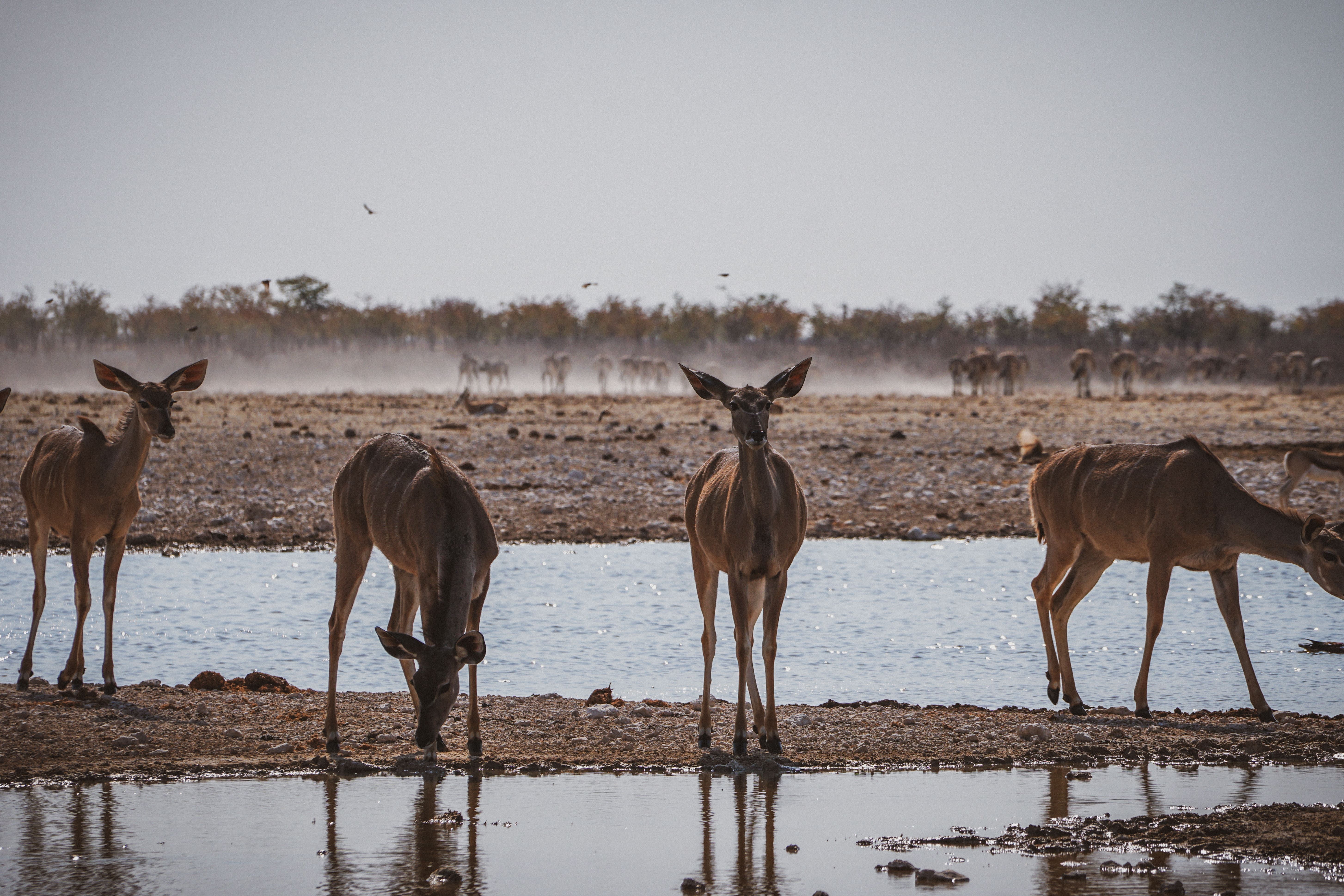 Namibia Reiseroute