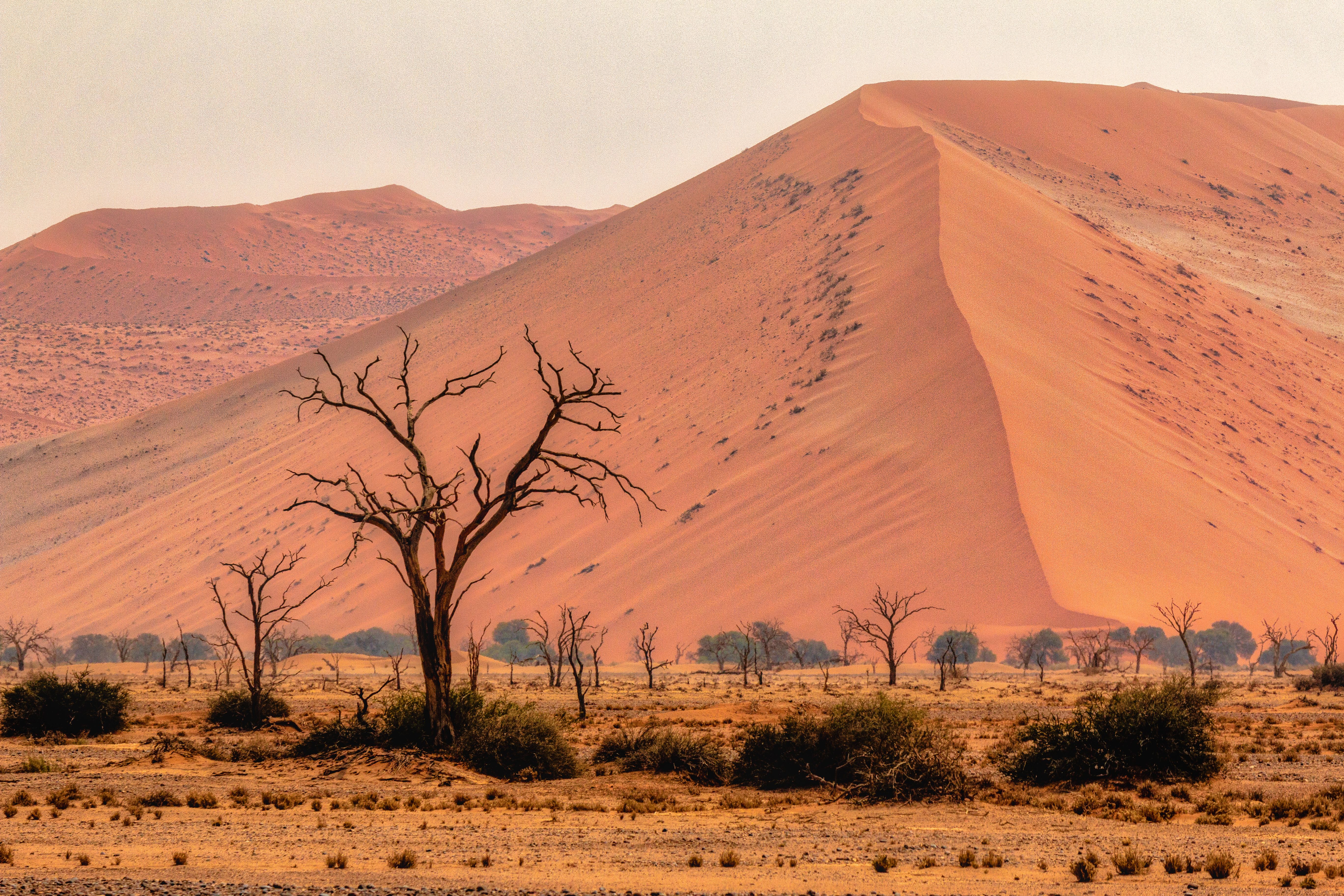 Schotterstrasse, Damaraland
