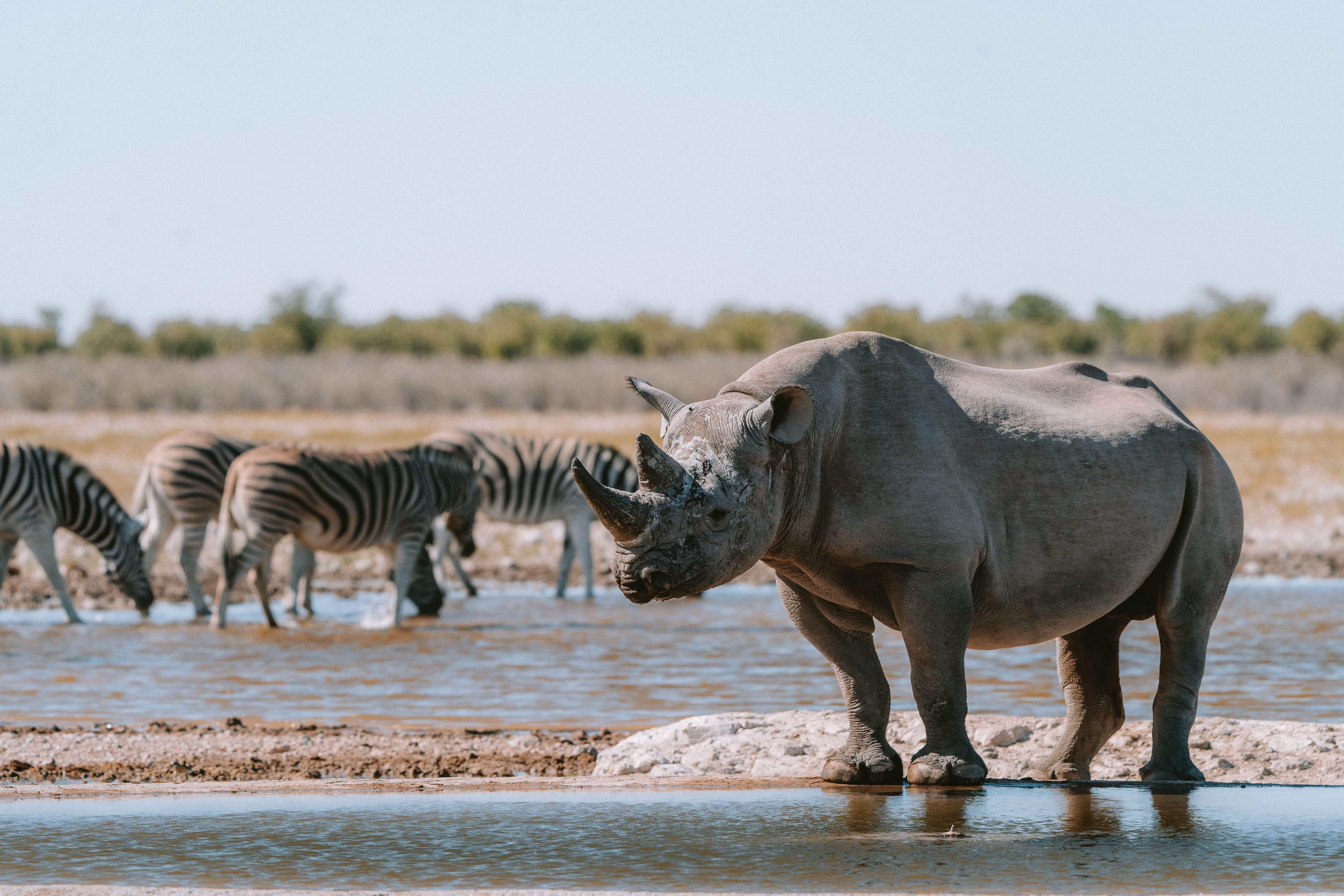 Etosha-Pfanne